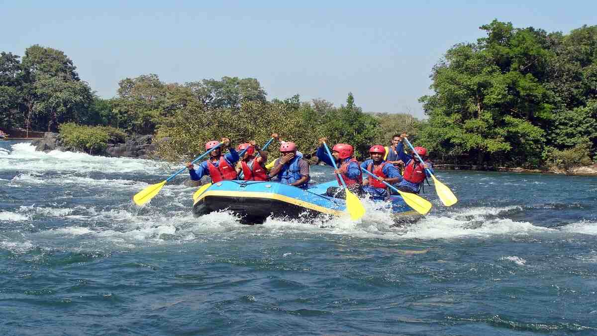 Things to Do in Dandeli